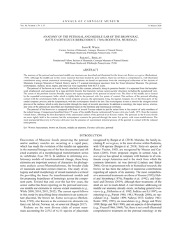 Anatomy of the Petrosal and Middle Ear of the Brown Rat, Rattus Norvegicus (Berkenhout, 1769) (Rodentia, Muridae)