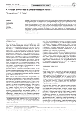 A Revision of Ostodes (Euphorbiaceae) in Malesia