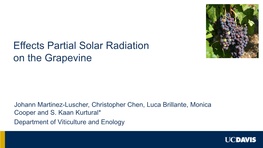 Effects Partial Solar Radiation on the Grapevine