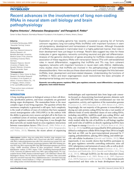 Recent Advances in the Involvement of Long Non-Coding Rnas in Neural Stem Cell Biology and Brain Pathophysiology