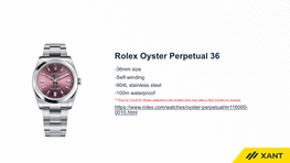 Rolex Oyster Perpetual 36