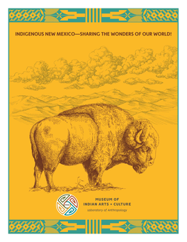 Indigenous New Mexico—Sharing the Wonders of Our World!