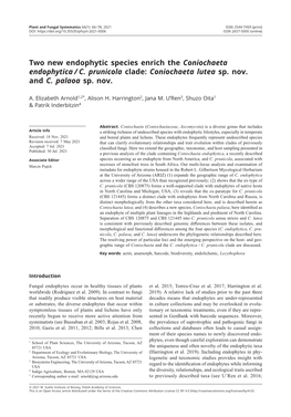 Two New Endophytic Species Enrich the Coniochaeta Endophytica / C