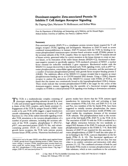 Dominant-Negative Zeta-Associated Protein 70 Inhibits T Cell Antigen Receptor Signaling by Dapeng Qian, Marianne N. Mollenauer, and Arthurweiss