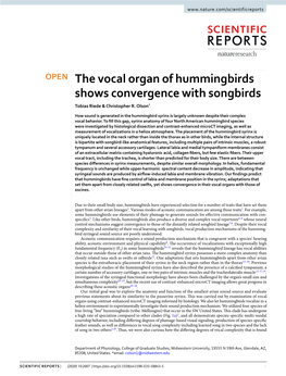 The Vocal Organ of Hummingbirds Shows Convergence with Songbirds Tobias Riede & Christopher R