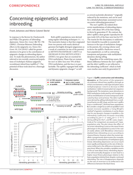 Concerning Epigenetics and Inbreeding