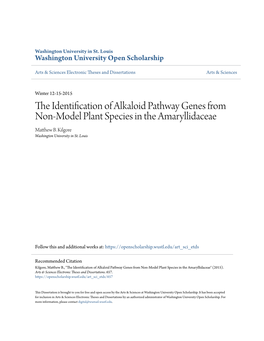 The Identification of Alkaloid Pathway Genes from Non-Model Plant Species in the Amaryllidaceae