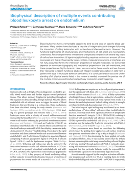 Biophysical Description of Multiple Events Contributing Blood Leukocyte Arrest on Endothelium