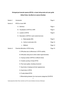 (EPVS): a Visual Rating Scale and User Guide