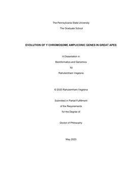 Evolution of Y Chromosome Ampliconic Genes in Great Apes