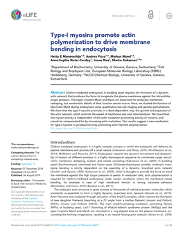 Type-I Myosins Promote Actin Polymerization to Drive Membrane