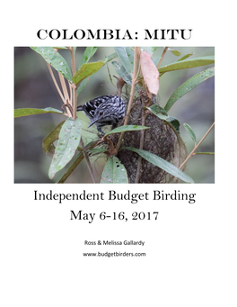 COLOMBIA: MITU Independent Budget Birding May 6-16, 2017
