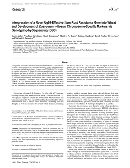 Introgression of a Novel Ug99-Effective Stem Rust