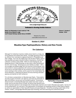 Maudiae-Type Paphiopedilums: History and New Trends