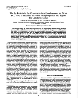 The PII Protein in the Cyanobacterium Synechococcus Sp. Strain PCC 7942 Is Modified by Serine Phosphorylation and Signals the Ce