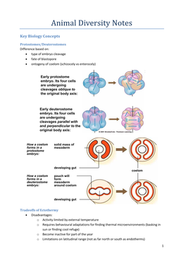 Animal Diversity Notes