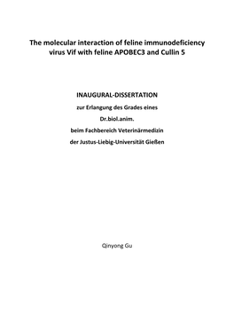 The Molecular Interaction of Feline Immunodeficiency Virus Vif with Feline APOBEC3 and Cullin 5