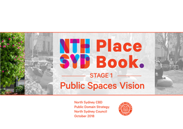 STAGE 1 Public Spaces Vision