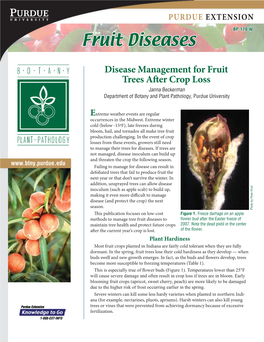 Disease Management for Fruit Trees After Crop Loss Janna Beckerman Department of Botany and Plant Pathology, Purdue University