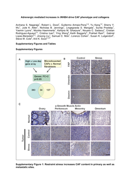 Adrenergic Mediated Increases in INHBA Drive CAF Phenotype and Collagens Archana S. Nagaraja1, Robert L. Dood1, Guillermo Armaiz