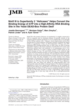 Motif III in Superfamily 2 “Helicases” Helps Convert the Binding Energy of ATP Into a High-Affinity RNA Binding Site in the Yeast DEAD-Box Protein Ded1