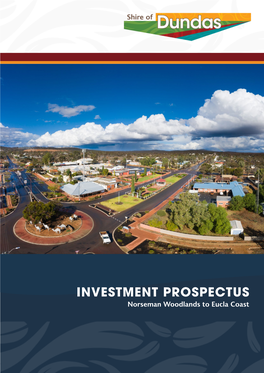 Investment Prospectus