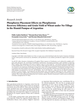 Phosphorus Placement Effects on Phosphorous Recovery Efficiency and Grain Yield of Wheat Under No-Tillage in the Humid Pampas of Argentina