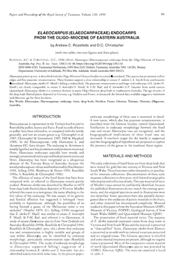 ELAEOCARPUS{ELAEOCARPACEAE)ENDOCARPS from the OLIGO-MIOCENE of EASTERN AUSTRALIA by Andrew C