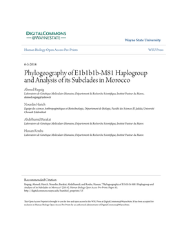 Phylogeography of E1b1b1b-M81 Haplogroup and Analysis of Its