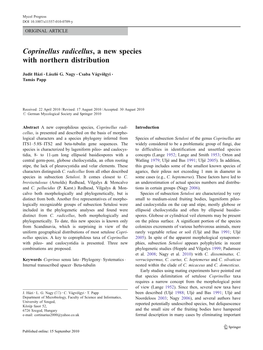 Coprinellus Radicellus, a New Species with Northern Distribution