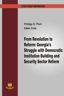 Georgia's Struggle with Democratic Institution Building And