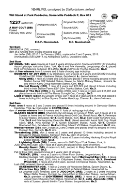 YEARLING, Consigned by Staffordstown, Ireland