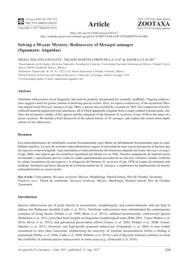 Rediscovery of Mesaspis Antauges (Squamata: Anguidae)