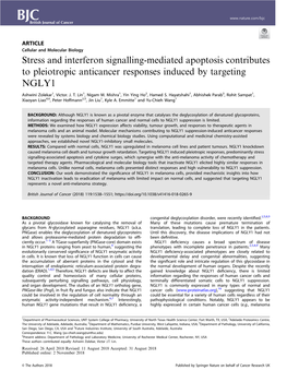 Stress and Interferon Signalling-Mediated Apoptosis Contributes to Pleiotropic Anticancer Responses Induced by Targeting NGLY1