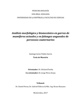 Análisis Morfológico Y Biomecánico En Garras De Mamíferos Actuales Y En Falanges Ungueales De Perezosos Cuaternarios