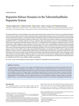 Dopamine Release Dynamics in the Tuberoinfundibular Dopamine System