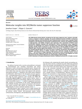 Molecular Insights Into NF2/Merlin Tumor Suppressor Function ⇑ ⇑ Jonathan Cooper , Filippo G