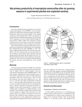 Net Primary Productivity of Macrophyte Communities After Six Growing Seasons in Experimental Planted and Unplanted Marshes