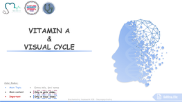 Vitamin a & Visual Cycle