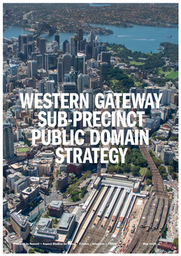 Western Gateway Public Domain Strategy