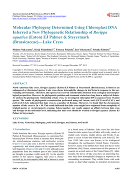 Molecular Phylogeny Determined Using Chloroplast