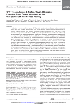 GPR116, an Adhesion G-Protein–Coupled Receptor, Promotes Breast Cancer Metastasis Via the Gaq-P63rhogef-Rho Gtpase Pathway