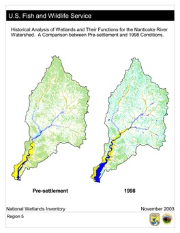 Historical Analysis of Wetlands and Their Functions for the Nanticoke River Watershed: a Comparison Between Pre-Settlement and 1998 Conditions