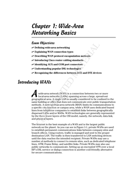 Wide-Area Networking Basics