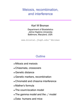 Meiosis, Recombination, and Interference