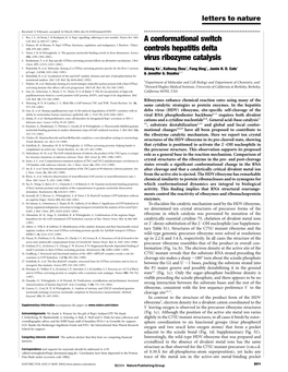 A Conformational Switch Controls Hepatitis Delta Virus Ribozyme