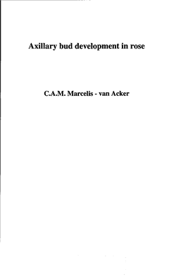 Axillary Bud Development in Rose