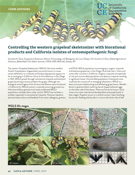 Controlling the Western Grapeleaf Skeletonizer with Biorational Products and California Isolates of Entomopathogenic Fungi