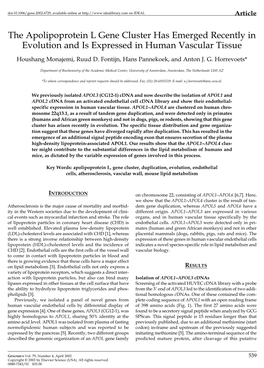 The Apolipoprotein L Gene Cluster Has Emerged Recently in Evolution and Is Expressed in Human Vascular Tissue