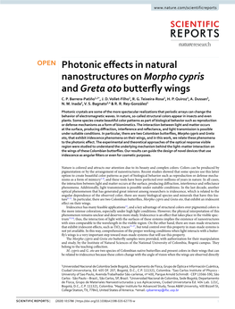 Photonic Effects in Natural Nanostructures on Morpho Cypris